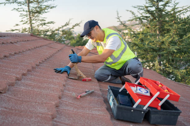 Sealant for Roof in Woodstock, IL