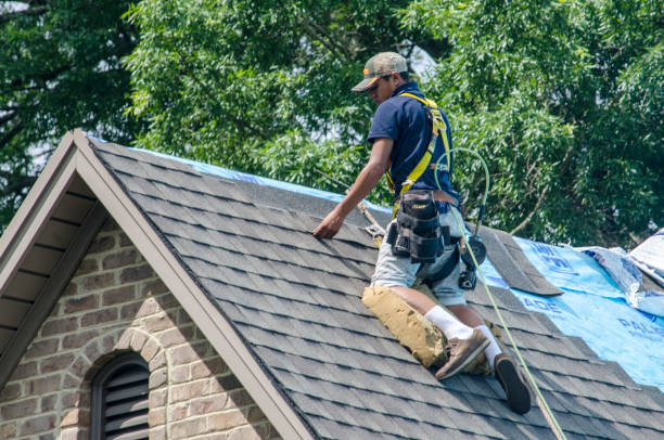 Best Commercial Roofing Services  in Woodstock, IL